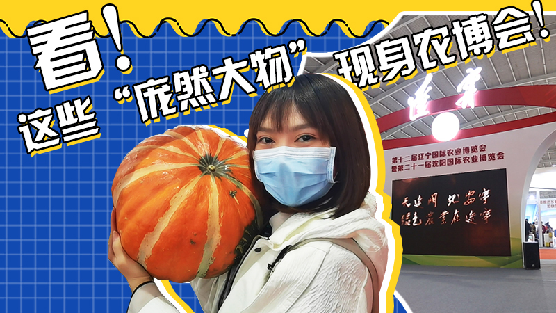 這些“龐然大物”現身農博會！