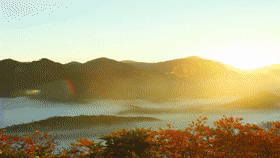 【&ldquo;飛閱&rdquo;中國】瞰關門山大峽谷 漫山紅遍層林盡染