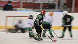 一分鐘帶你了解冰球運動