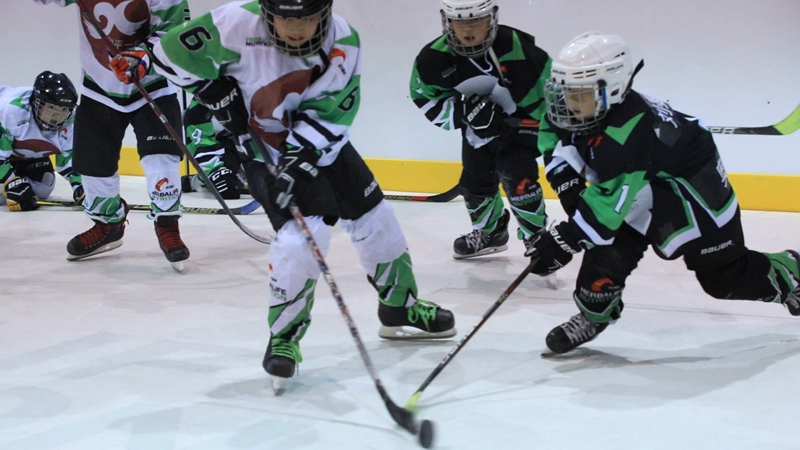 冰球兄弟賽場追夢