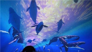 海洋館里過大年