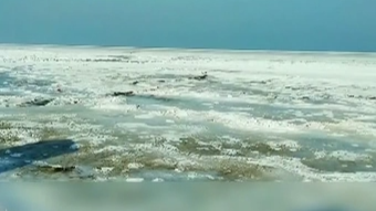 大連夏家河海面出現石板路奇觀