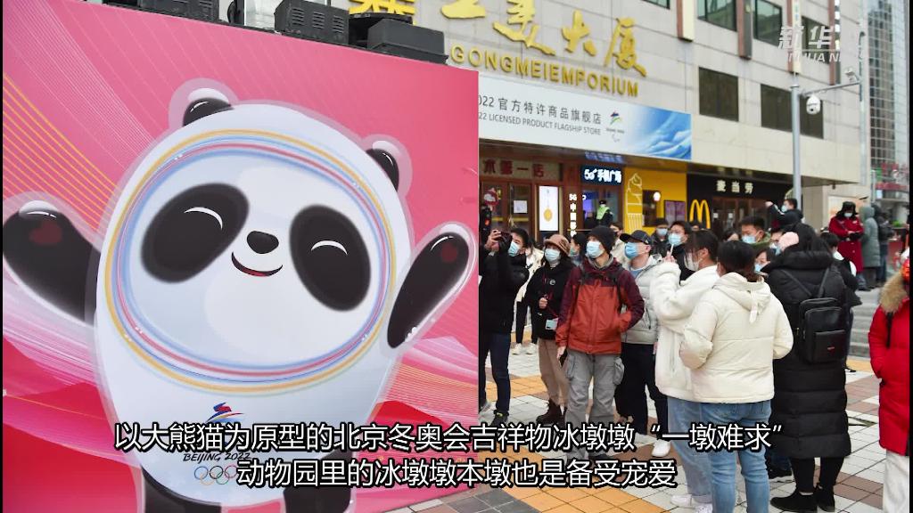 冰墩墩火爆一墩難求 看看原型本尊解解饞