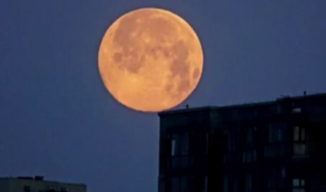 虎年元宵節“十五的月亮十七圓”