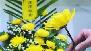 代祭掃業務套路多：清明期間“時令性”騙局需警惕