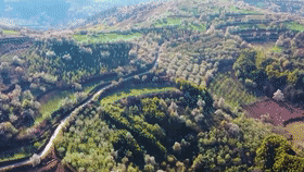 60秒“云”游春日里的美景