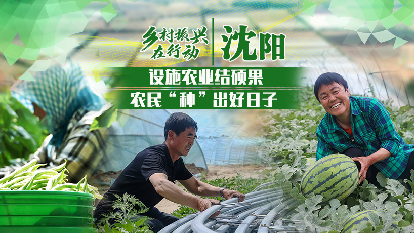 鄉村振興在行動|沈陽：設施農業結碩果 農民“種”出好日子
