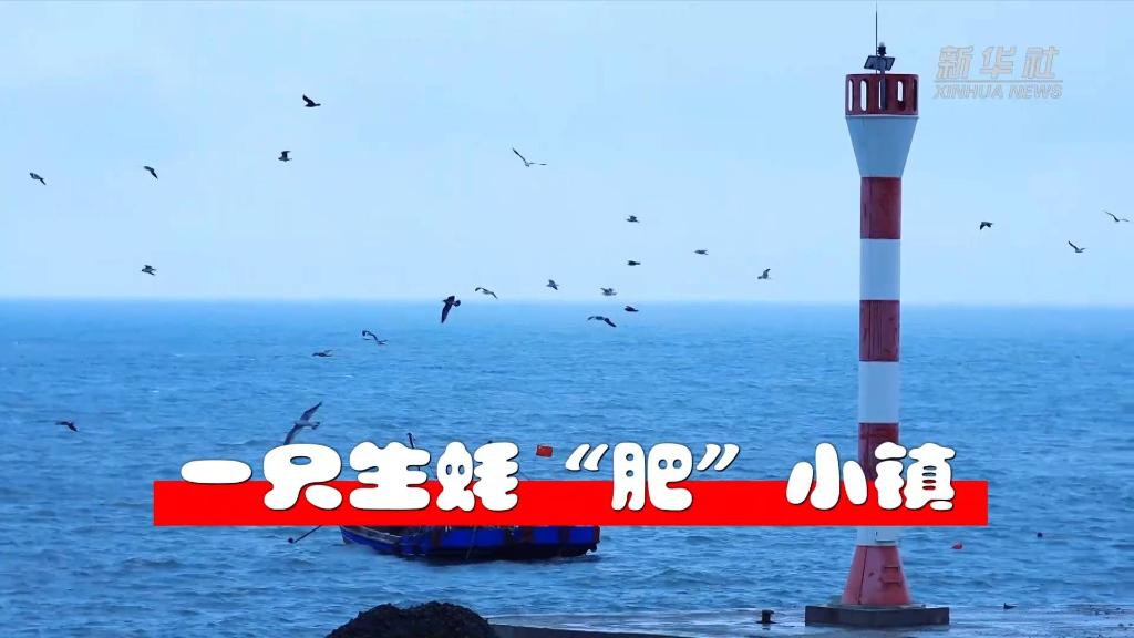 奮進新征程 建功新時代·大美邊疆｜一只生蠔“肥”小鎮