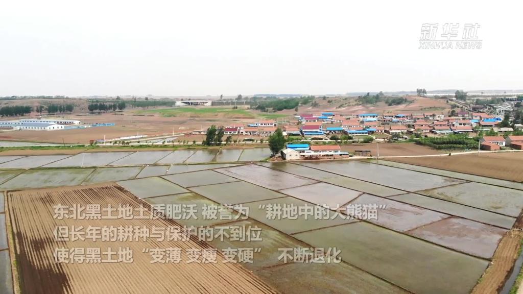 遼寧開原打響黑土地"保衛戰"