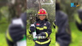 危險！殺蟲劑遇明火秒變“噴火器”