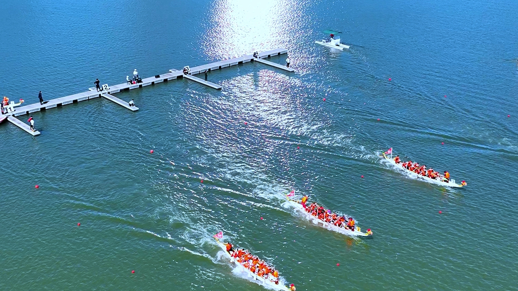 秋風起 賽龍舟！