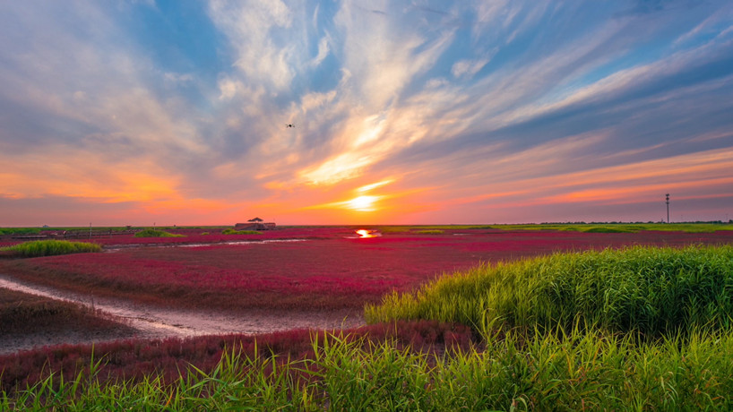 【“飛閱”中國】這片紅色海岸線風光美如畫
