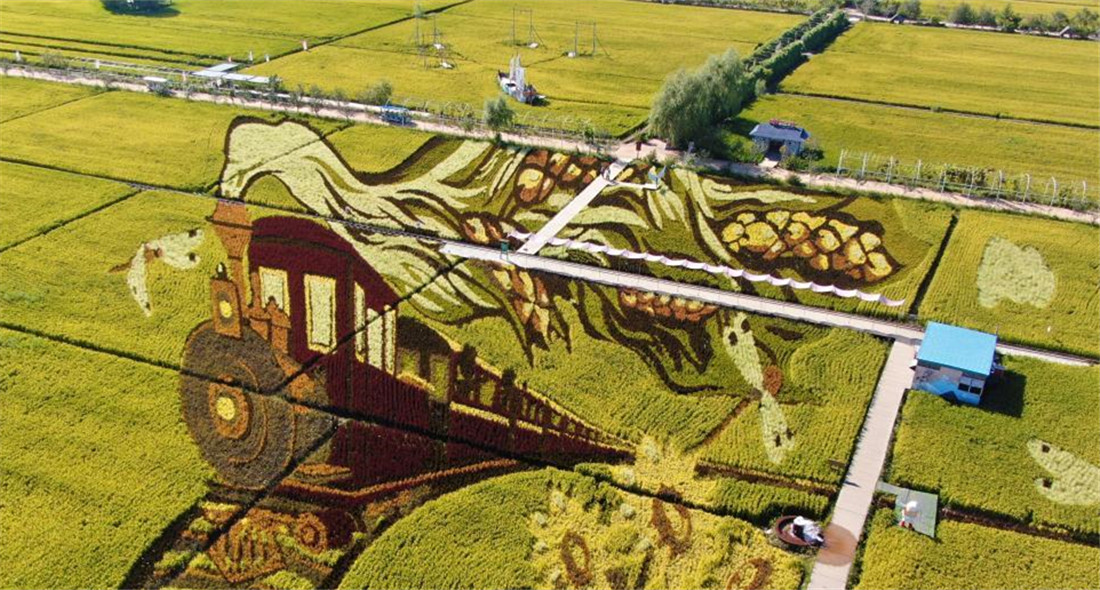 稻田畫繪就鄉村振興新畫卷