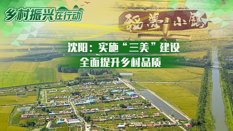 鄉村振興在行動｜沈陽：實施“三美”建設 全面提升鄉村品質