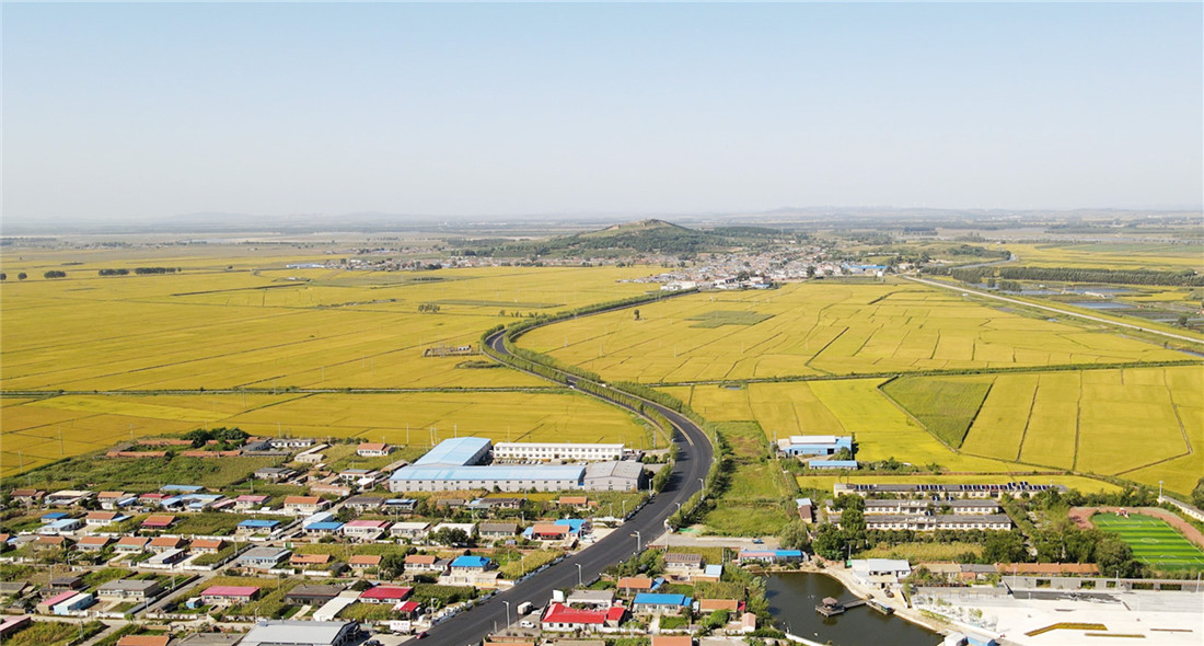 鄉村振興在行動｜沈陽：實施“三美”建設 全面提升鄉村品質