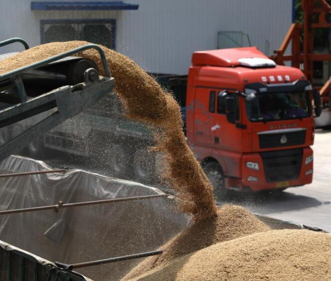 智慧儲糧“倉廩實” 科技賦能“顯身手”