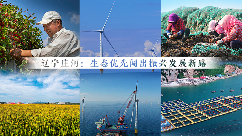 走進縣城看發展｜遼寧莊河：生態優先闖出振興發展新路