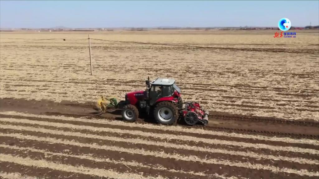全球連線｜遼寧：黑土地開始冬季養護