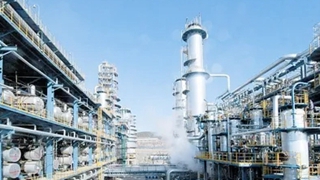 大連石化：暖冬護健康 公司有行動