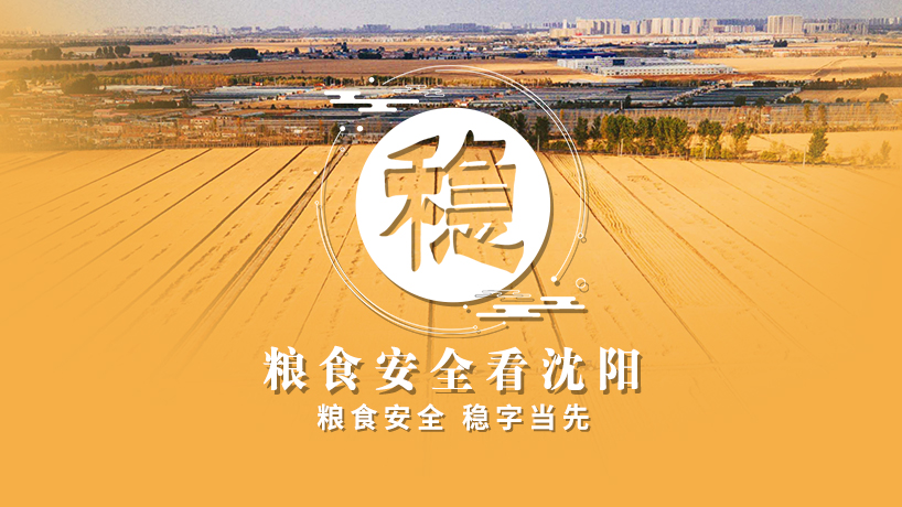 擘畫鄉村新景象 書寫振興新篇章丨穩 糧食安全看沈陽