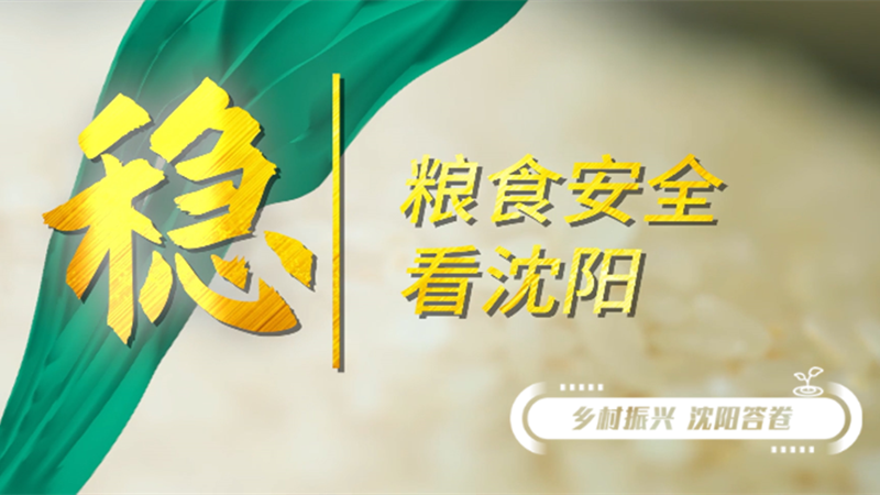 鄉村振興 沈陽答卷丨糧食安全 “穩”字當先