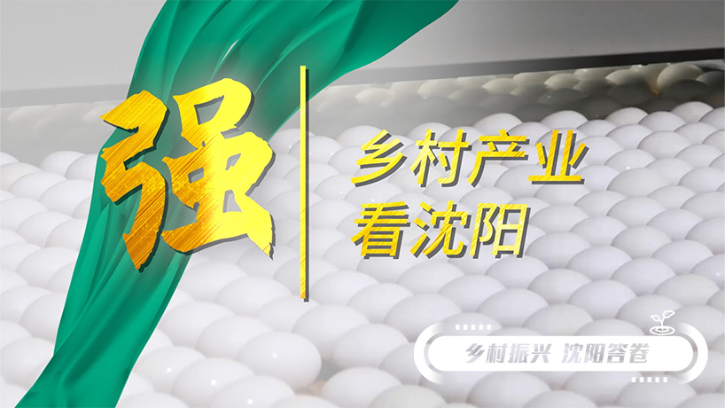 鄉村振興 沈陽答卷丨鄉村產業 “強”字擔當
