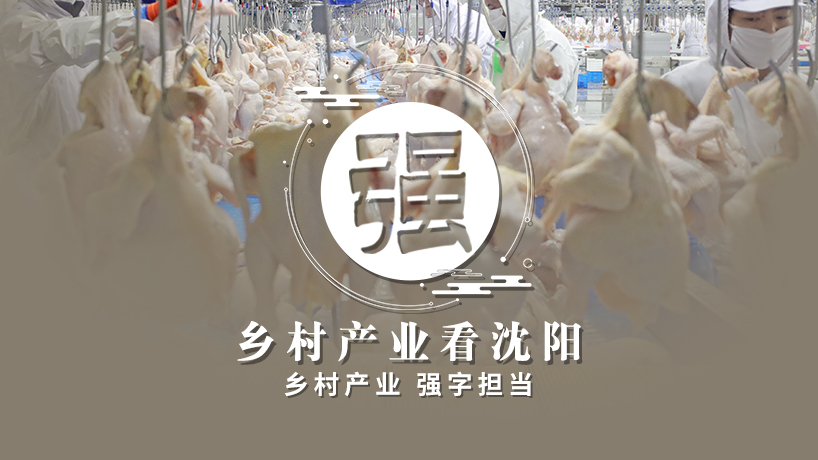 擘畫鄉村新景象 書寫振興新篇章丨強 鄉村產業看沈陽