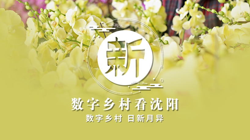 擘畫鄉村新景象 書寫振興新篇章丨新 數字鄉村看沈陽