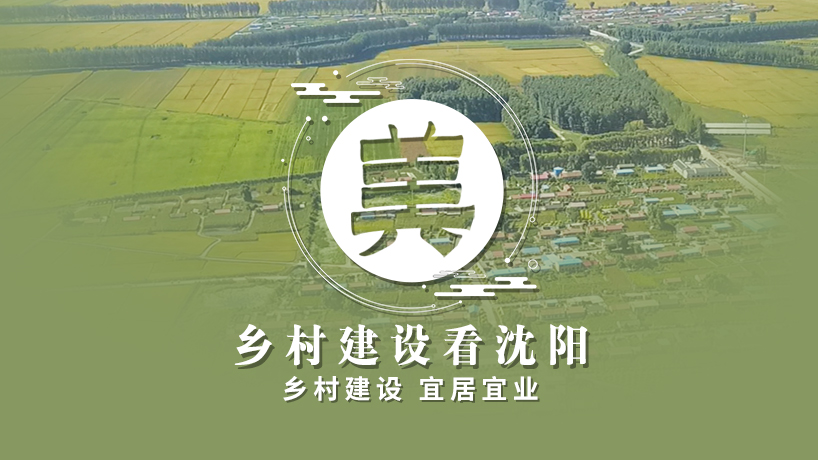 擘畫鄉村新景象 書寫振興新篇章丨美 鄉村建設看沈陽
