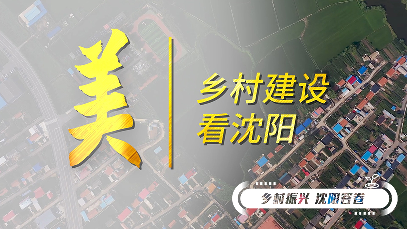 鄉村振興 沈陽答卷丨“美”麗鄉村 宜居宜業