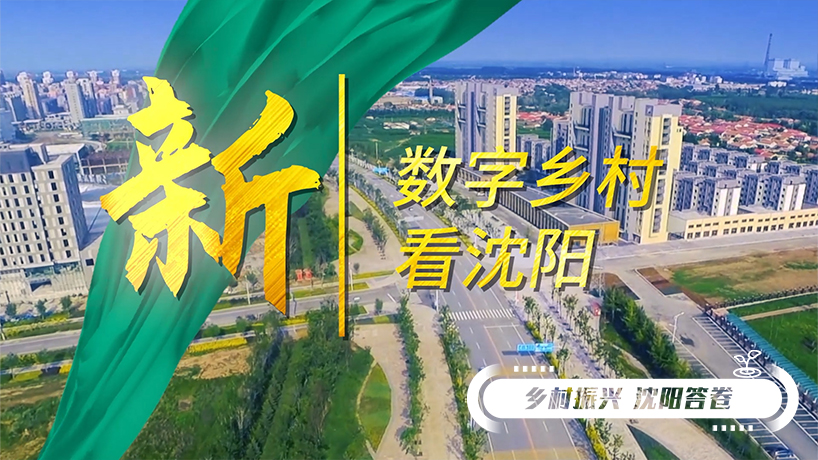 鄉村振興 沈陽答卷丨數字鄉村 日“新”月異