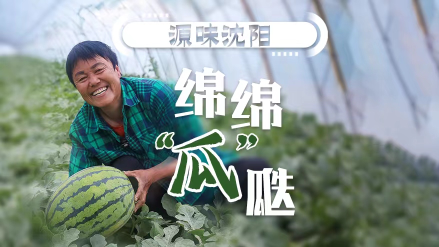 源味沈陽丨綿綿“瓜”瓞