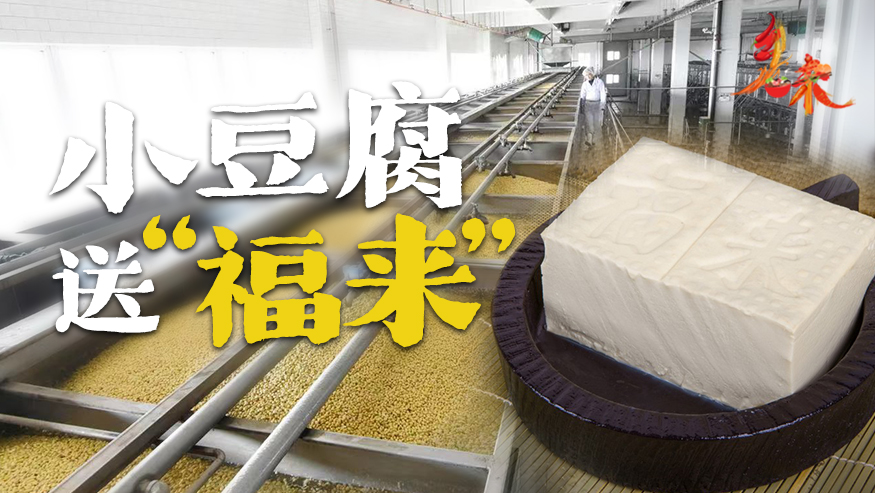 鄉味丨遼寧沈陽：小豆腐送“福來”