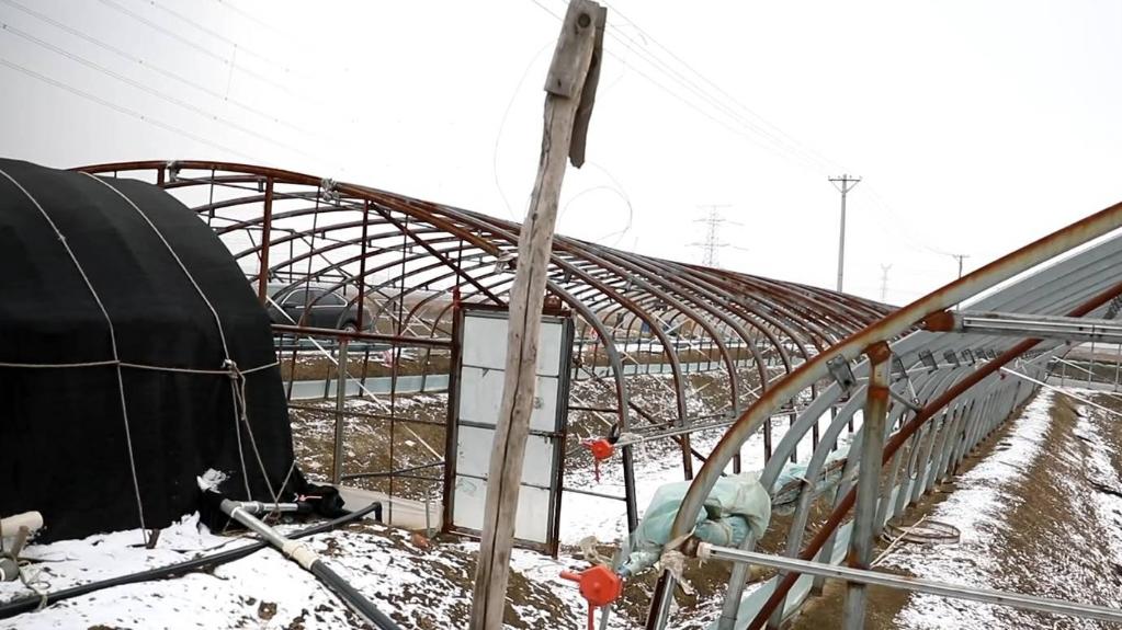 養蝦準備宜早 電力助農更好