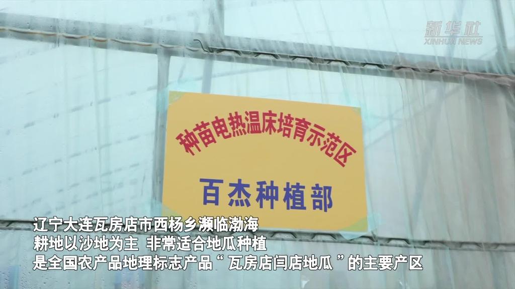 育苗大棚裝“地暖”